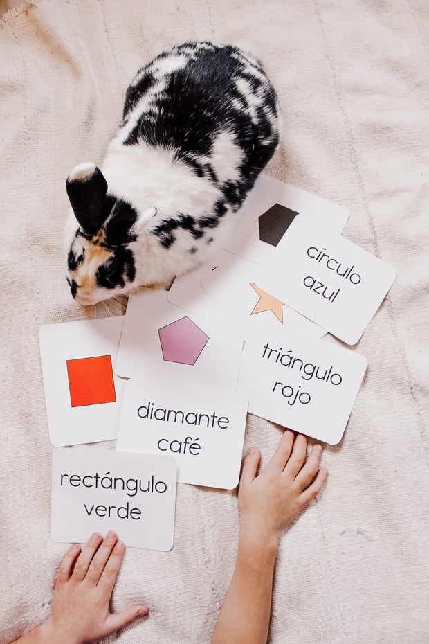 Simple Spanish Flashcard Set